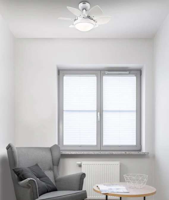 Quince 24-Inch Six-Blade Indoor Ceiling Fan, White Finish with Dimmable LED Light Fixture - Image 3